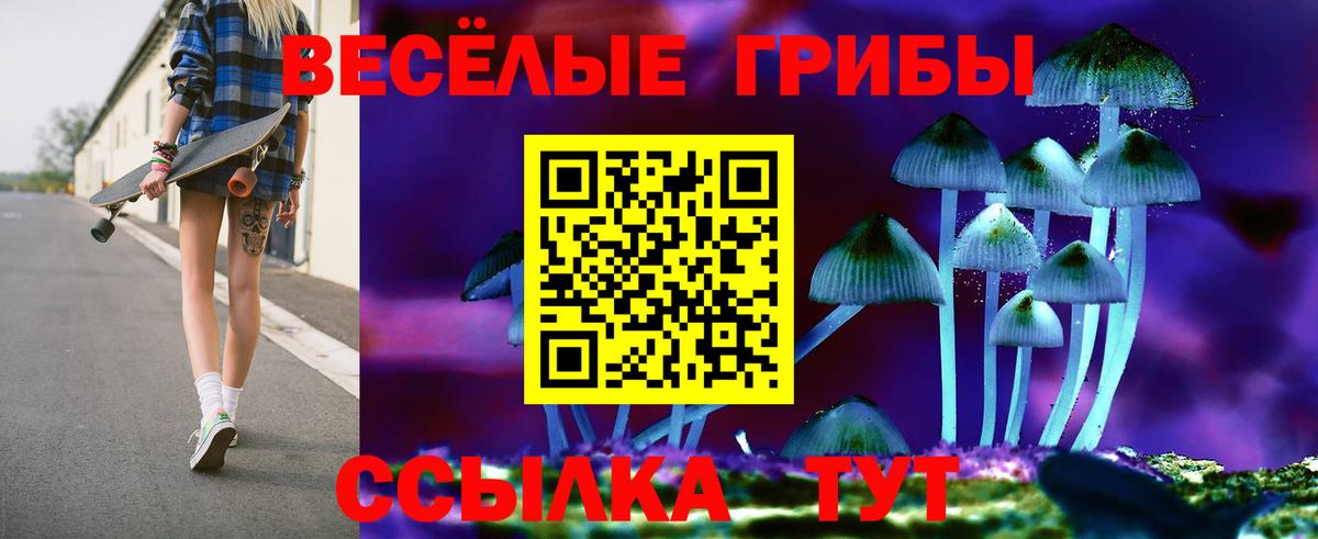 Псилоцибиновые грибы MAGIC MUSHROOMS Лесной