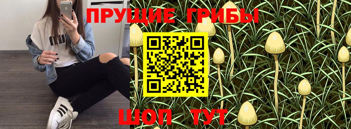 Лесной  Галлюциногенные грибы мицелий  Вход с VPN 